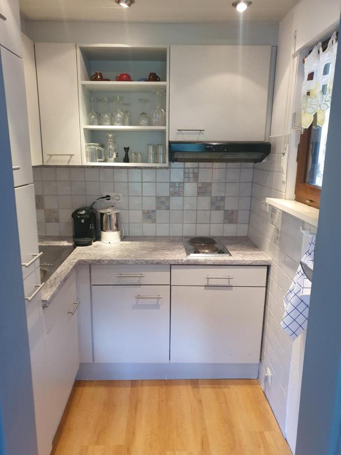 Erzgrube Haus Adler - Komplettes Ferienhaus Am Badesee מראה חיצוני תמונה